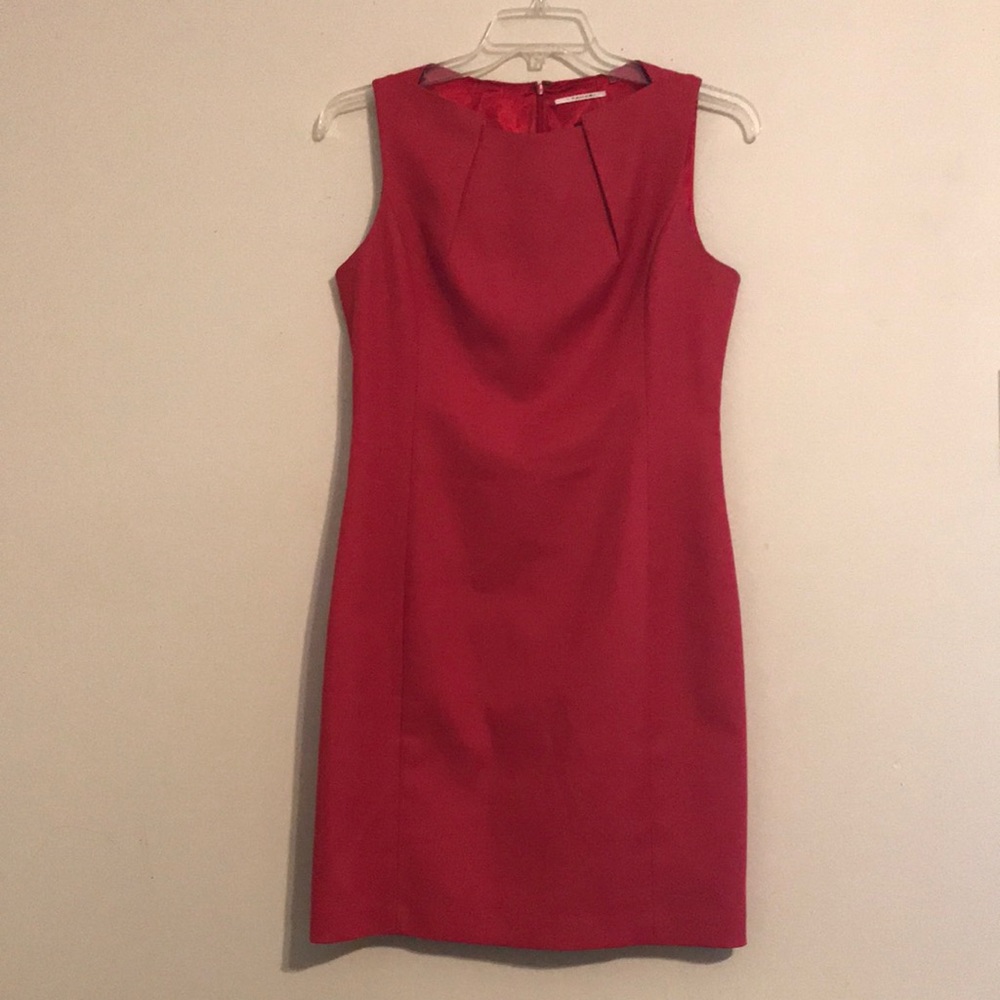 Beautiful dark pink Tahari dress